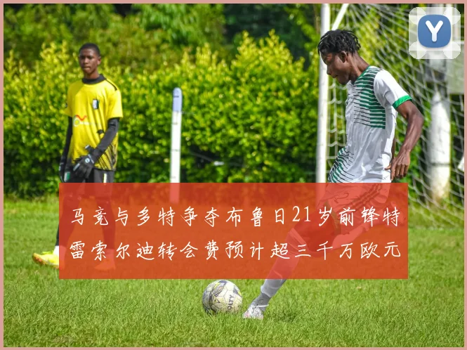 马竞与多特争夺布鲁日21岁前锋特雷索尔迪转会费预计超三千万欧元